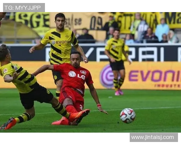 多特蒙德与汉堡激战在即球迷期待精彩对决与战术较量